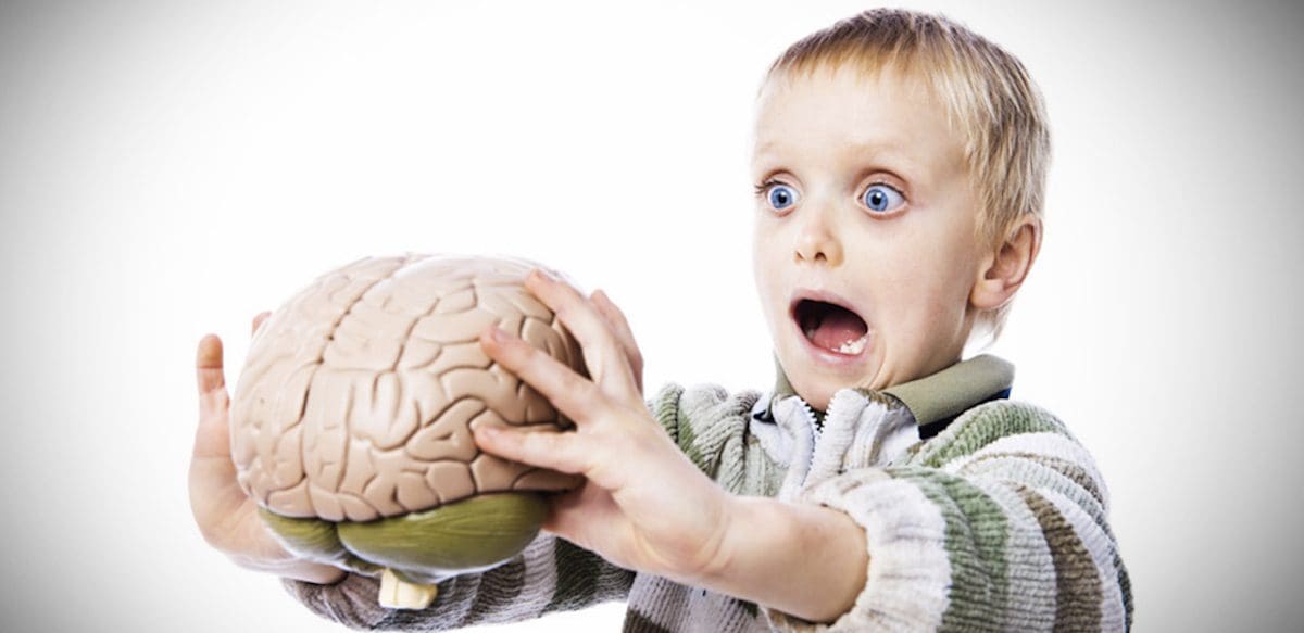 Învățându-i pe copii despre creier, punem bazele solide ale inteligenței emoționale