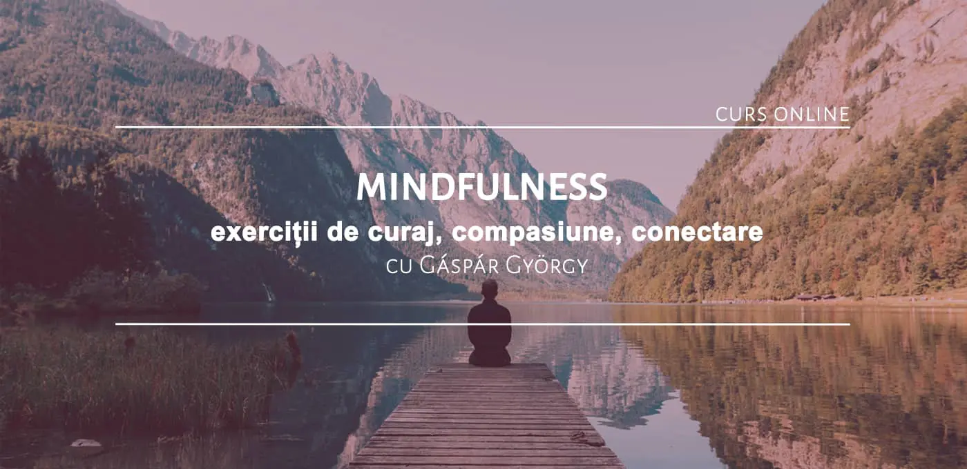 Curs online: Mindfulness [Video]