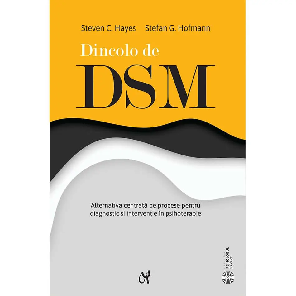 Dincolo de DSM